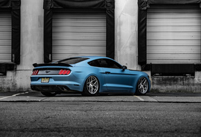 Ford, Mustang, GT, RFX11