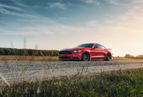 Ford, Mustang, red