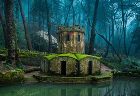 nature, Architecture, Forest, Old Building, Water