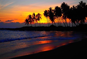 beach, Sunset, Palm trees