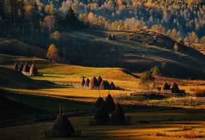 all, Sunrise, Field, Forest, Grass, R