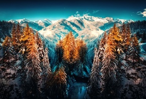 Landscape Nature Wallpapers, winter, Forest, Snow