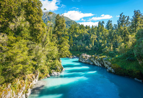 Blue River, mountains, summer, forest, South Island, New Zealand