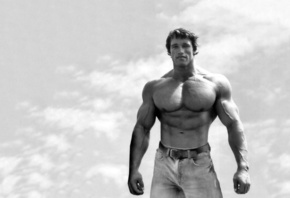 Arnold Schwarzenegger,  , 