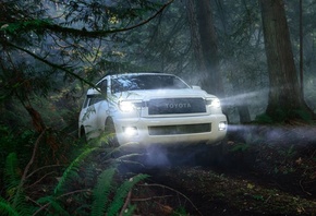 Toyota, , Sequoia TRD Pro, ,  