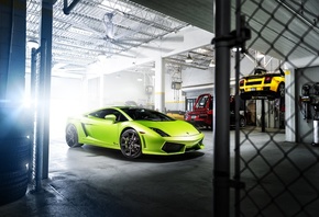 Neon, Green, Lamborghini, Gallardo