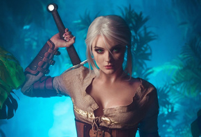 Witcher, Ciri, Art