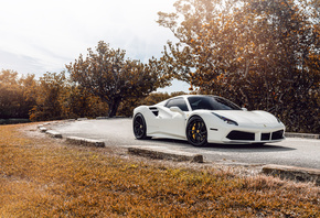 White, Ferrari, 488
