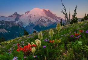 , , , , , , , Mount Rainier National Par ...