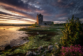 ,  , , Dunguaire, Castle, Galway Bay, , 