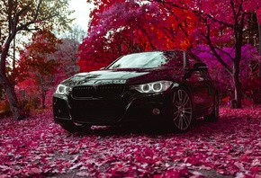 BMW, F30, 335I