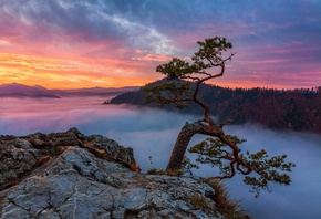 National Park, Pieniny, , 