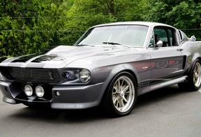 ford, mustang, 1967, gt 500, shelby