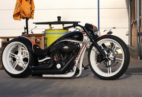 harley davidson, custom, thunderbike