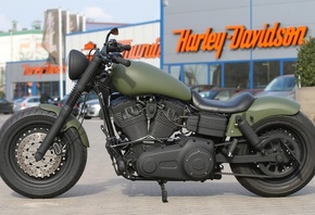 harley davidson, , , custom, green dyna