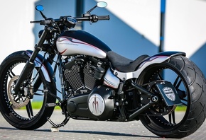 harley davidson, custom, thunderbike