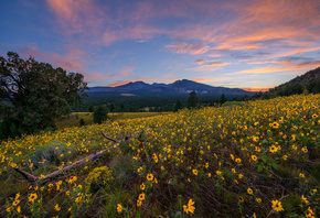 , , , Flagstaff, Arizona, , , 