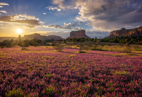 , , , , Sedona, Arizona, , 