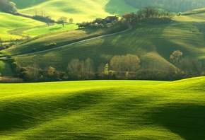tuscany, green, grass, sky, landscape
