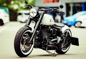 harley davidson, custom, thunderbike