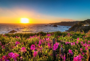 , Mendocino, , , 