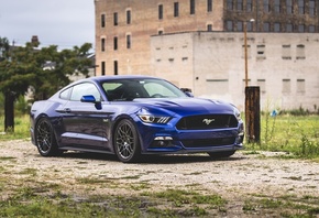 Ford, Mustang, , 