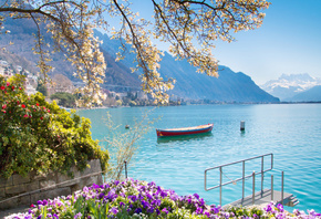 Lake Geneva, Montreux, Alps, morning, beautiful lake, flowers, mountain lan ...