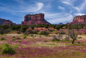 , Sedona, Arizona, , , 