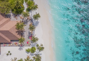 Maldives, beach aerial view, ocean, palm trees, top view, tropical island