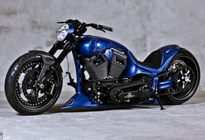 harley davidson, custom, thunderbike