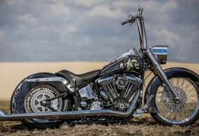 harley davidson, custom, thunderbike, ei gringo