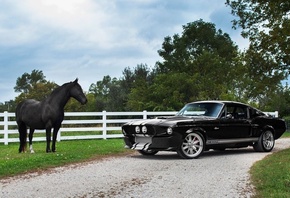 ford, mustang, 1969, , , 