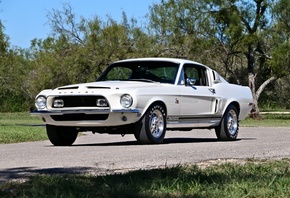 ford, mustang, gt, 500