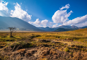 , , , Gangteng Valley, Bhutan, , , , 