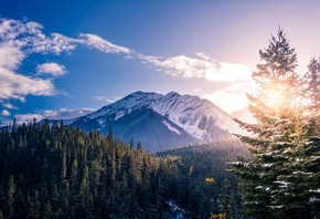 Canada, Sunlight, Snowline, Clouds, Sky, Trees, Banff, National Park