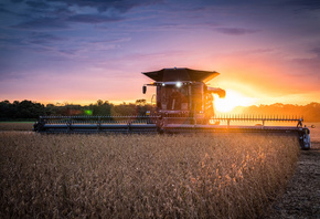 Fendt Ideal, 4k, wheat harvesting, 2020 combines, combine, sunset