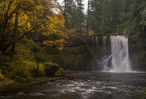 , , , Oregon, Silver Falls State Park, Upper North Falls, Silver, Creek, , 
