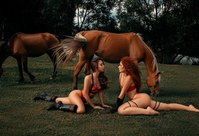 women, red lingerie, grass, horse, knee-high boots, gloves, trees, women ou ...