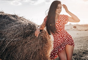 women, Anton Harisov, red dress, hay, women outdoors, brunette, long hair