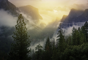 Yosemite, National Park, , 