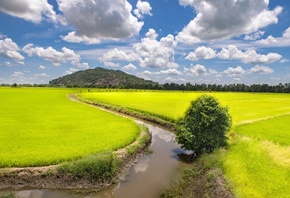 , , Trung Khanh, District, Cao Bang, province,  ,  ...