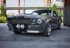Ford, Mustang, Shelby, 1967, Fastback, Elenor, 