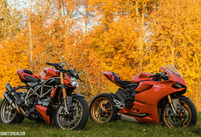 500px, motorcycle, fall, leaves, orange, ducati 1199 panigale, Ducati Streetfighter S