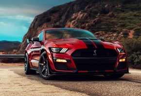 , , , ford mustang