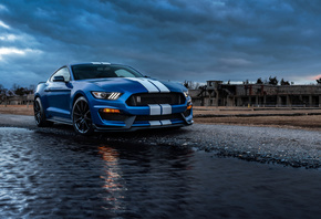 , , , ford mustang, ford mustang shelby gt500