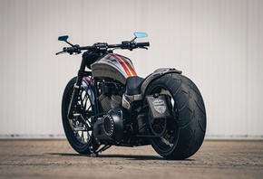 harley davidson, , , custom, thunderbike