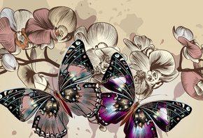 two, multicolored, butterflies, illustration, color, butterfly, flowers, background, HD, wallpaper