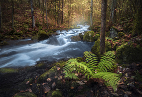 , , Ole Henrik Skjelstad, , , , , 