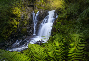 , , Ole Henrik Skjelstad, , , , 