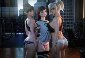 , Tracer (Overwatch), D.Va (Overwatch), video games